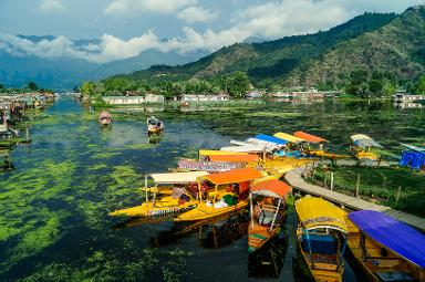 Sringagar Jammu and Kashmir billboards